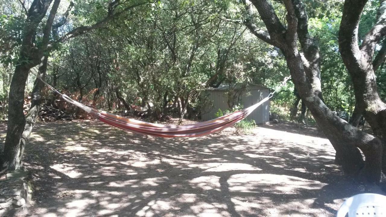 La Casita villa avec piscine prés d'Uzes Saint-Laurent-la-Vernède Esterno foto